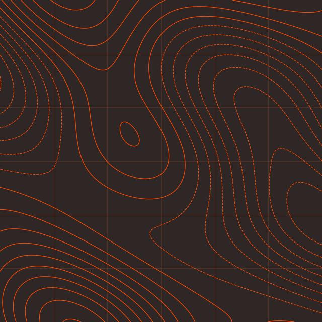 The survey-map texture