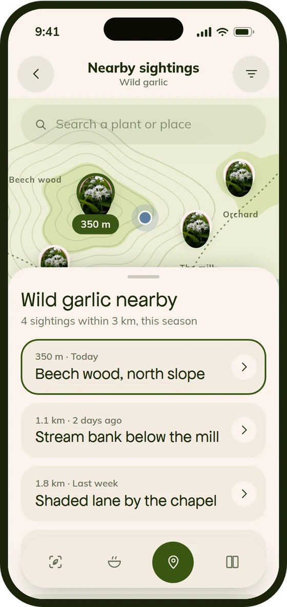 Sorrel · nearby sightings map